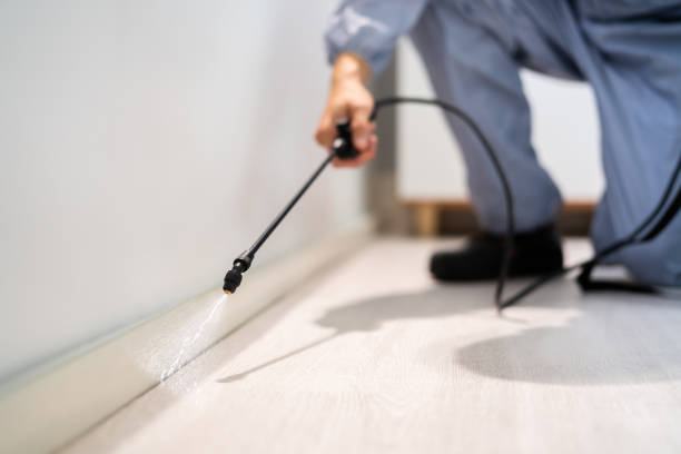 Licensed Pest Control service in Weaverville, NC - Show Me Pest Control
