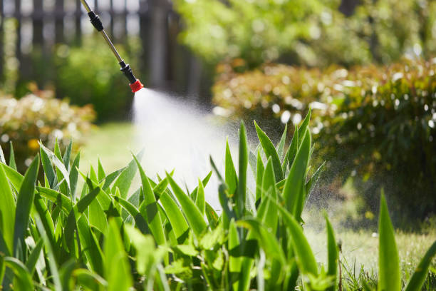 24/7 Emergency Mosquito Control experts in Weaverville, NC