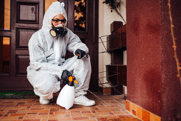 Reliable Mosquito Control contractor in Weaverville, NC by Show Me Pest Control