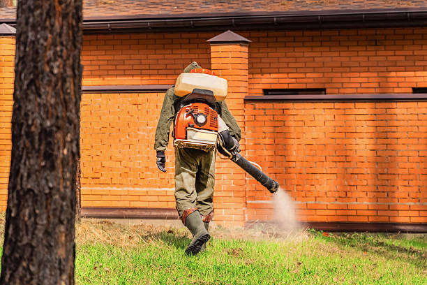 Top rated local Mosquito Control specialists in Weaverville, NC